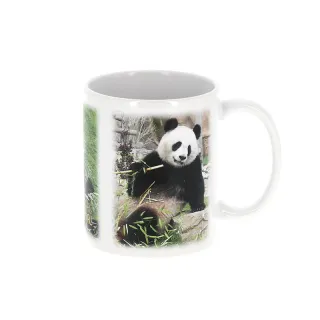 Mug couple pandas