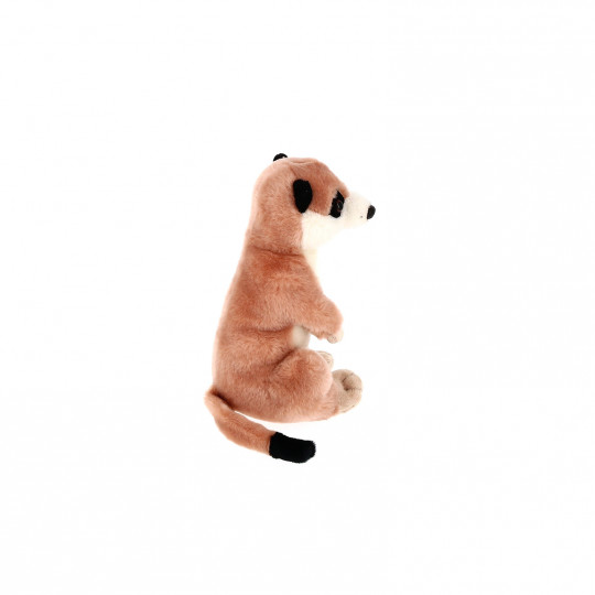 Petite Peluche suricate