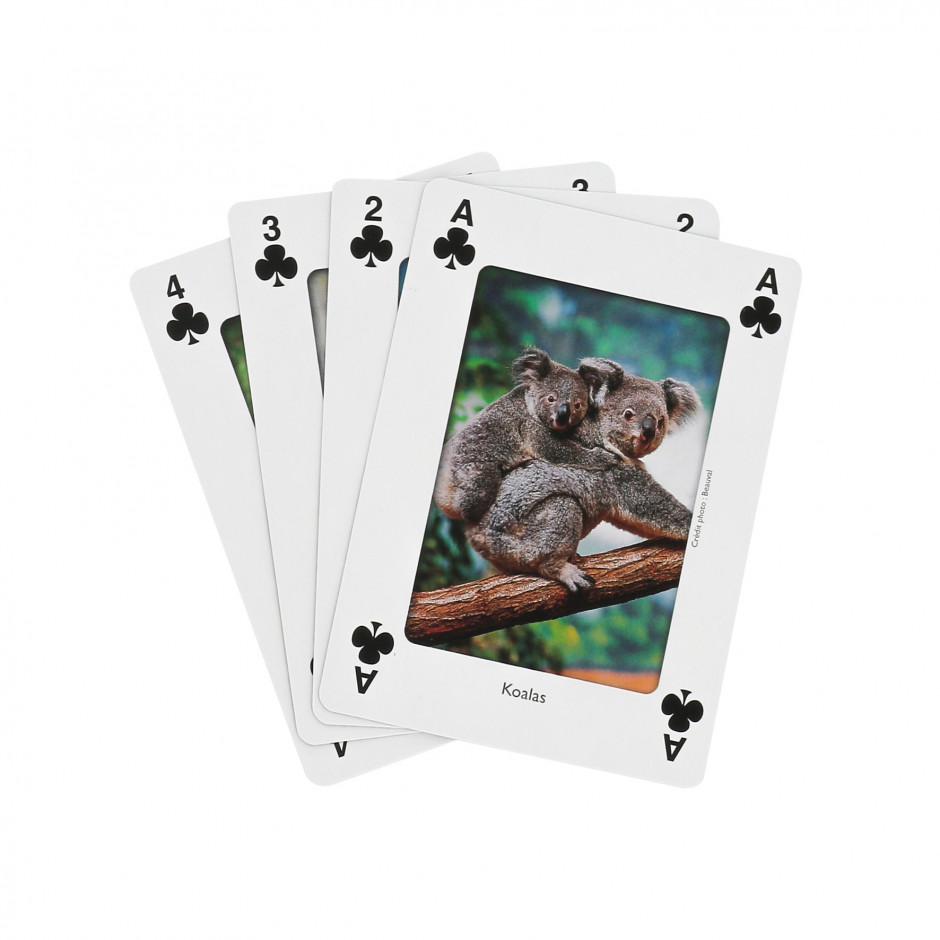 Jeu 54 cartes ZooParc de Beauval