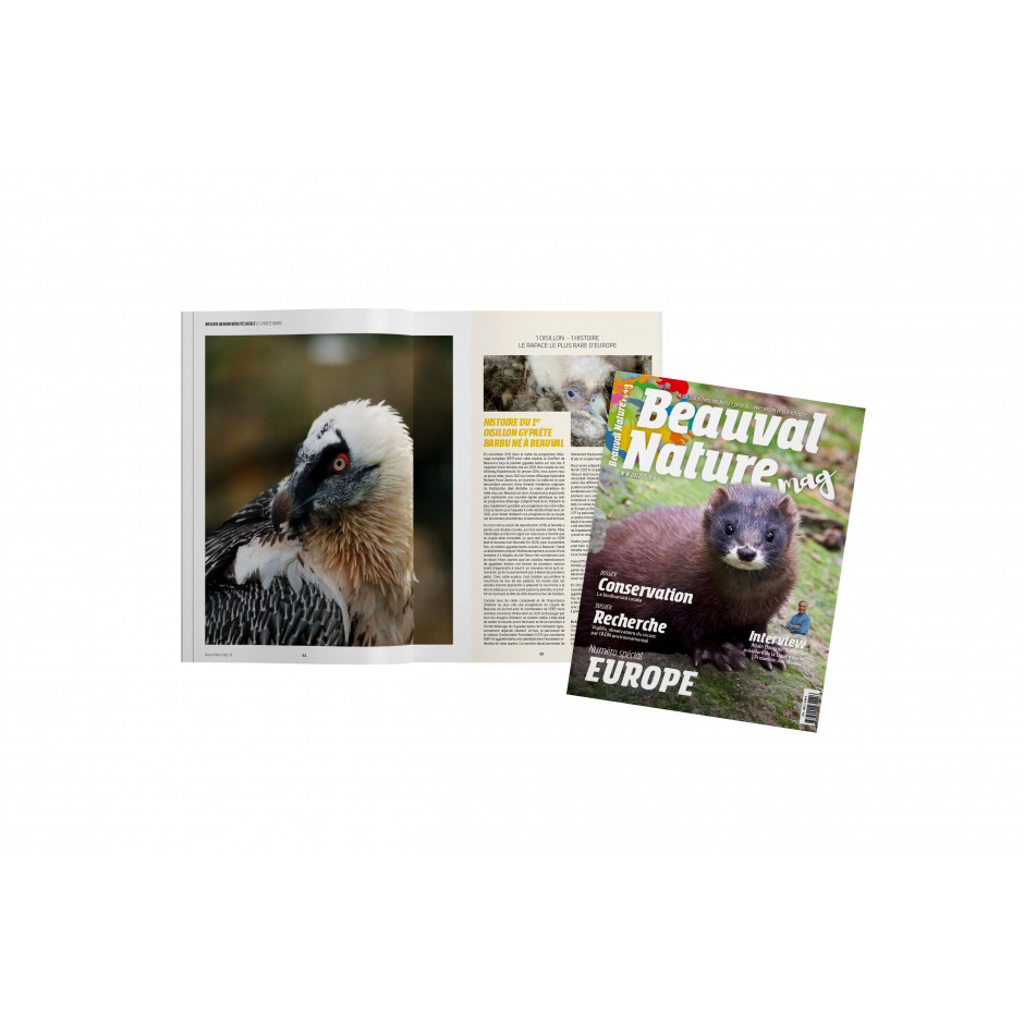 Beauval Nature mag n°4