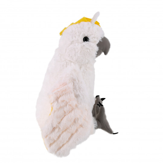 Cacatoès Sulfur-Crested farcies réaliste d'Oiseaux Perroquet jouet en  peluche doux - Chine Peluche cacatoès Sulfur-Crested et Sulfur-Crested cacatoès  jouet en peluche prix