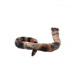 Peluche serpent Velvet