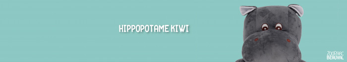 Hippopotame Kiwi